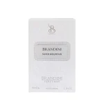 عطر جیبی برندینی Silver Mountain ۳۳ میل | دنیای پخش آرایشی