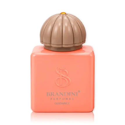 عطر جیبی برندینی گایدنس | خرید عطر جیبی لوکس Guidance