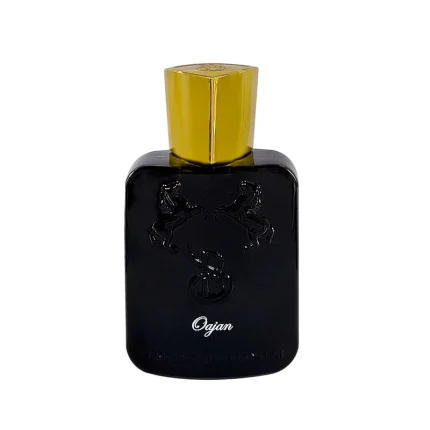 عطر جیبی برندینی Oajan حجم ۳۳ میل | دنیای پخش آرایشی